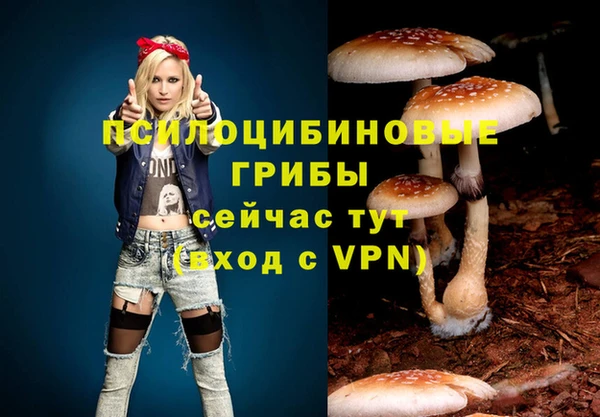 гашиш Алзамай
