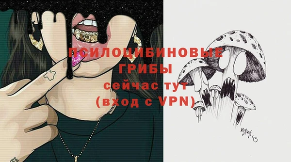 ALPHA-PVP Алексин