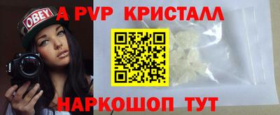 гидра Кингисепп