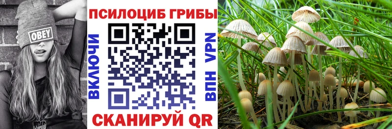 Галлюциногенные грибы Magic Shrooms  Балашов 