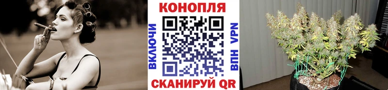 Канабис планчик  купить наркотики сайты  Балашов 